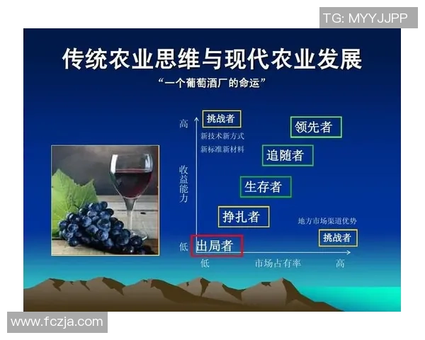 美国足球明星稀缺现象探讨及其对足球发展的影响分析