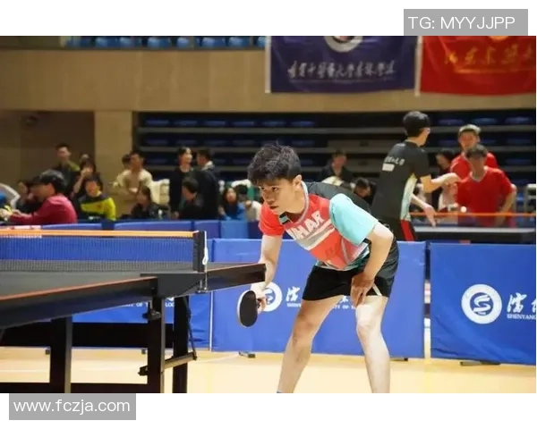 乒乓球精神之旅：深入探讨武汉乒乓球队的心理素质与竞技表现